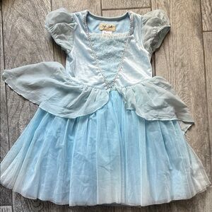 Taylor Joelle-Cinderella’s Princess Costume